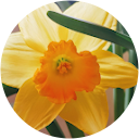 Mandz Moodley Mandz Moodley